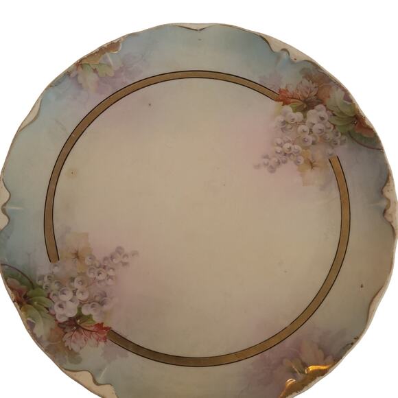 American Vintage Other - Vintage Stinthal China Vinyard Grapes Decorative Plate